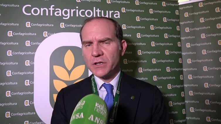 Manovra, Giansanti: "Non sufficiente, si intervenga con progetti straordinari"