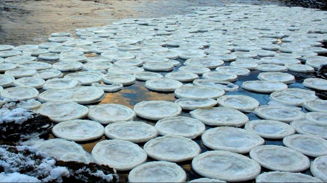 Le “pizze di ghiaccio”