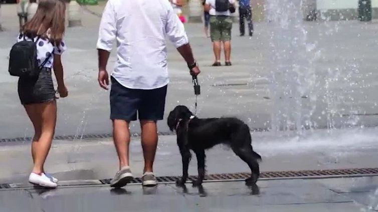 Cnr,: "2022 per l'Italia l'anno piu' caldo della storia"