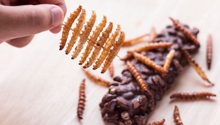 Sì, questo potrebbe arrivare presto sulle nostre tavole