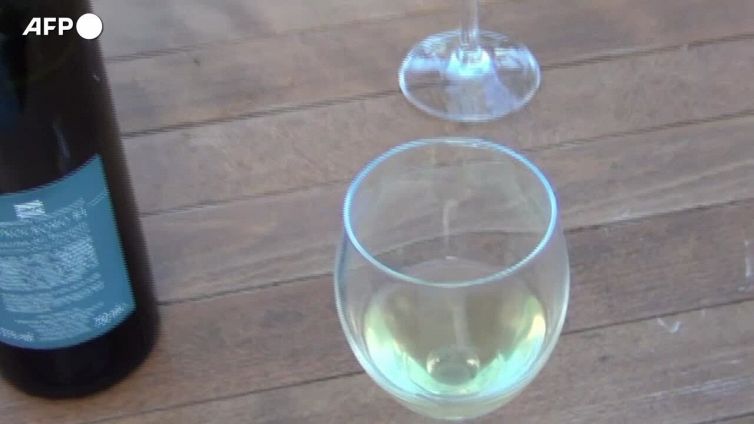 Il governo difende l'alimentare made in Italy: "Basta bugie"