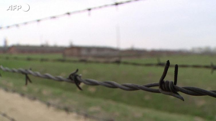 La liberazione di Auschwitz