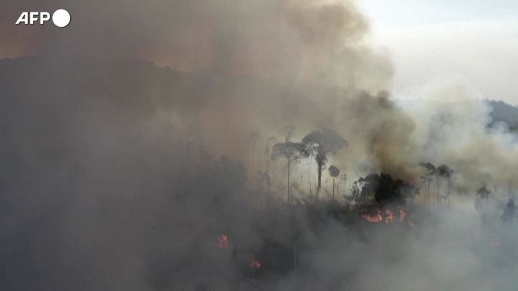 Amazzonia rischia di non essere piu' il polmone verde della Terra