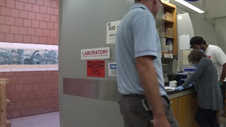 Oms: il rischio polio insidia anche i Paesi ricchi