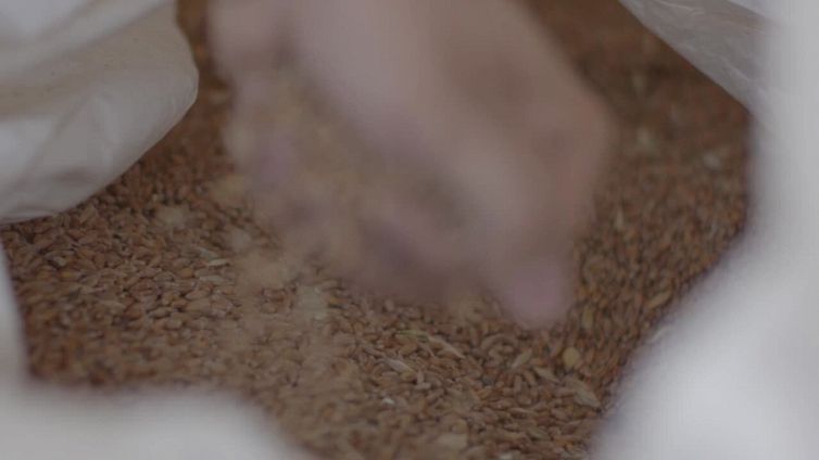 Forno Brisa raccoglie 3,5 milioni per un Mulino Collettivo