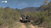 Messico, soldati distruggono una piantagione di foglie di coca