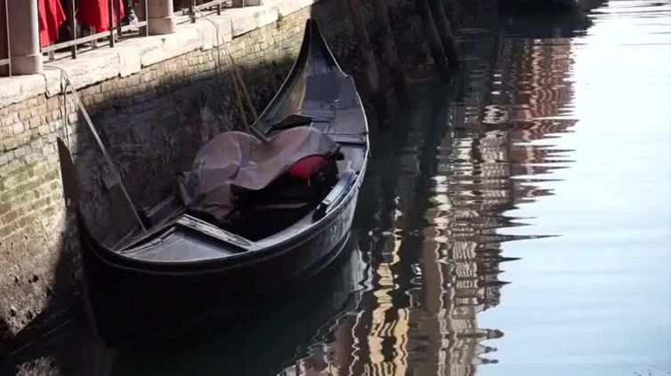 Pesci morti galleggiano nei rii, è allarme a Venezia