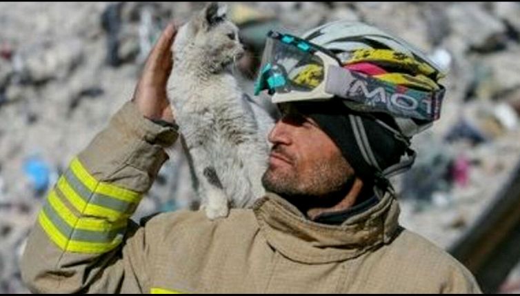 Terremoto in Turchia la commovente storia del gatto e del suo salvatore