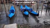 Venezia, canali quasi in secca: le preoccupanti immagini