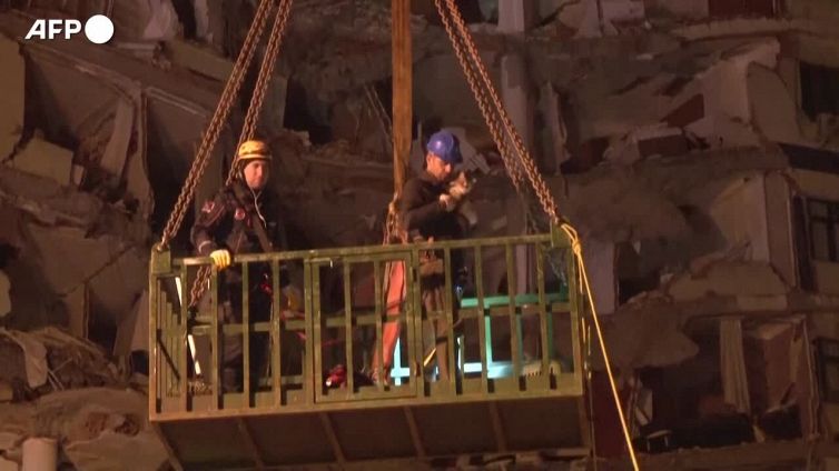 Terremoto in Turchia, due gatti riuniti ai loro padroni dopo il salvataggio
