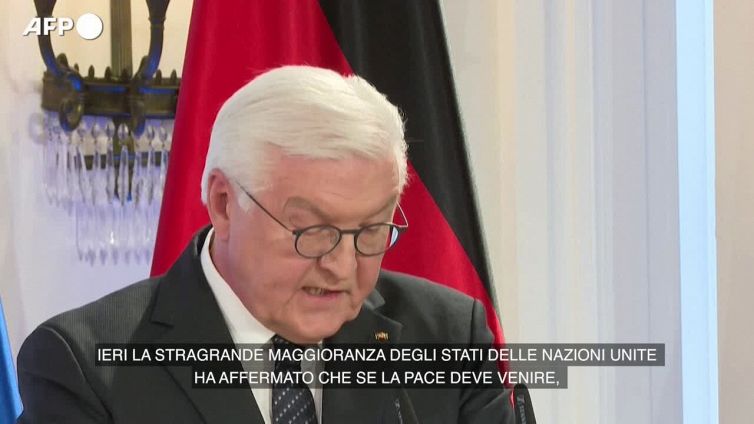 Ucraina, Steinmeier: "Se la Cina vuole avere ruolo costruttivo lo faccia sotto egida Onu"