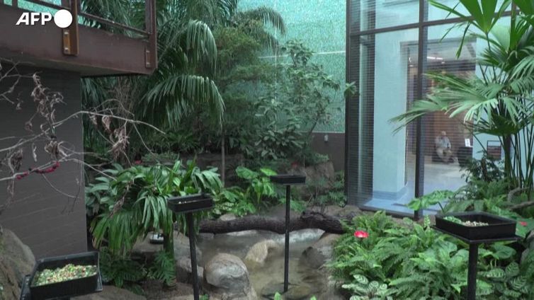 Zoo e orti botanici come arca di Noe' per 72 specie