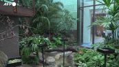 Zoo e orti botanici come arca di Noe' per 72 specie