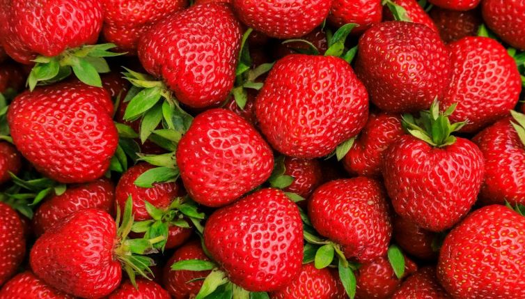 C'è un problema con le fragole italiane: cosa sta succedendo