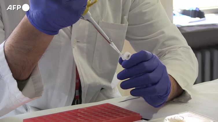 Covid, La scienza fa quadrato: "Difendiamo chi era in prima linea"