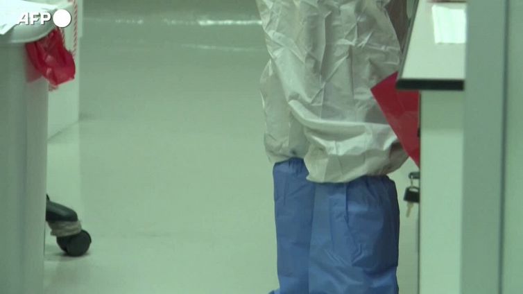 Covid, Kraken domina. Ora sotto la lente il contagio nei topi