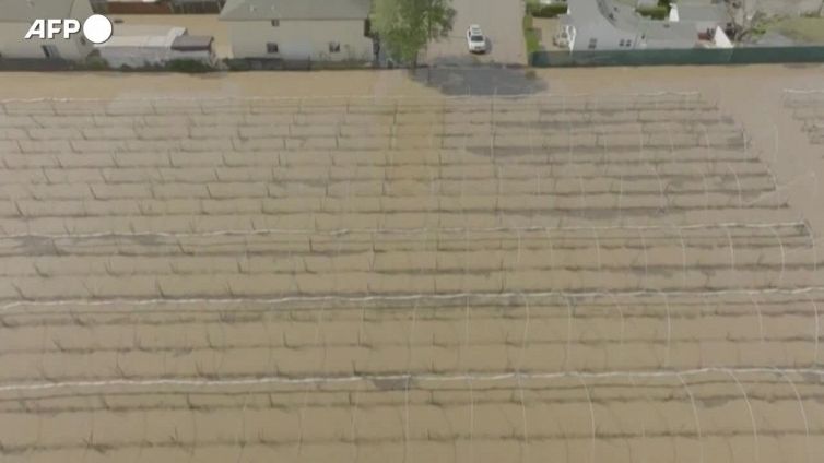 Alluvione in California, a Pajaro case e auto sommerse dall'acqua