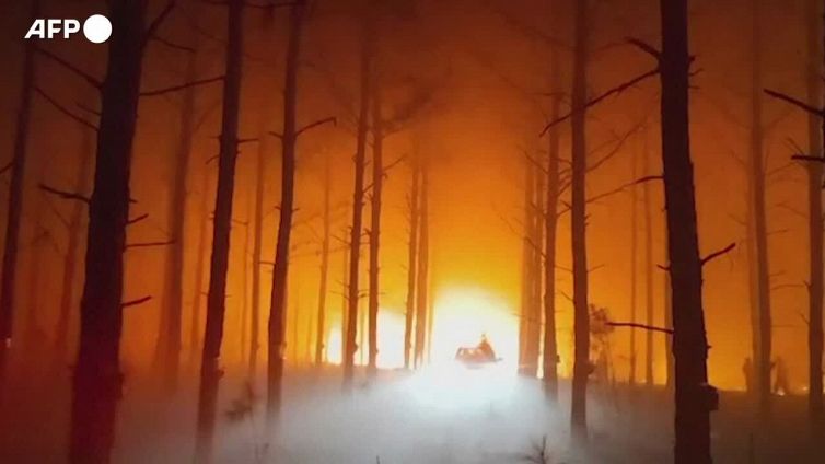Argentina, incendi in aree forestali: devastati piu' di tremila ettari