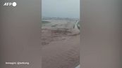 Maltempo in Turchia, 10 morti per le inondazioni in zone sud-orientale del paese