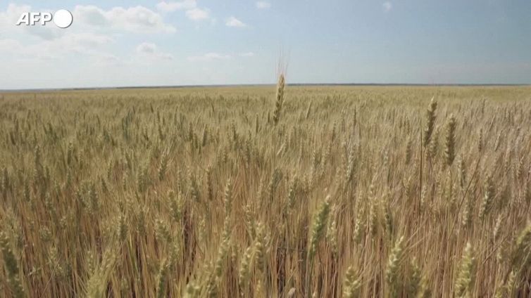 Accordo sul grano ucraino, ma e' scontro sui tempi