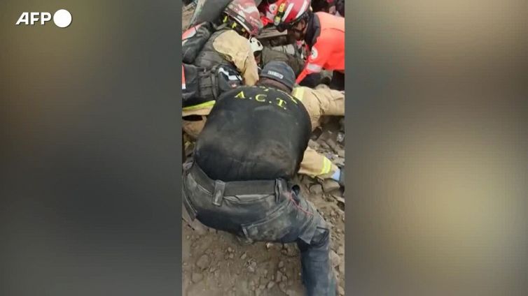 Ecuador, cagnolino estratto vivo dalle macerie ad Alausi'