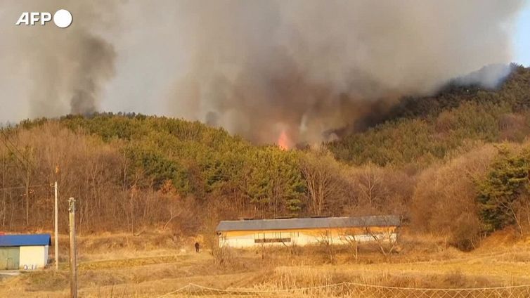 Corea del Sud, incendi boschivi a sud-ovest di Seul
