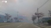 Corea del Sud, maxi incendio boschivo a Gangneung