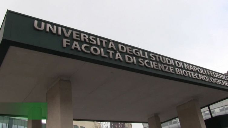 Medicina, al via i Tolc Med a Napoli. Gli studenti: "Ancora troppe restrizioni"