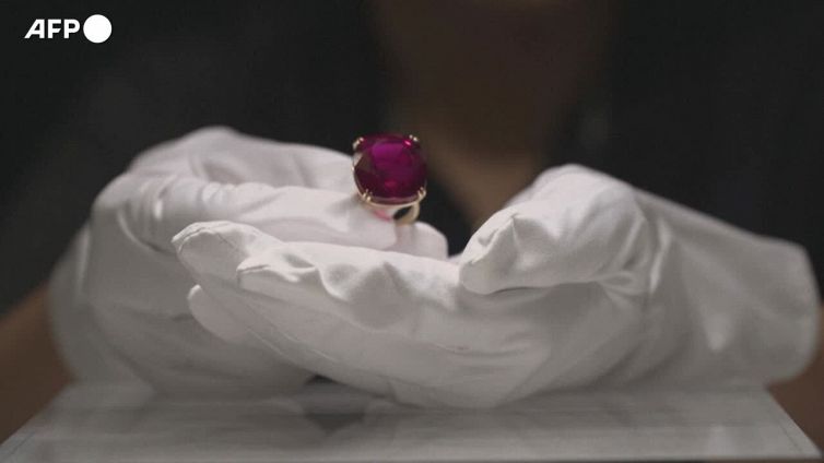 Hong Kong, in mostra il rubino "Estrela de Fura" da 55,22 carati