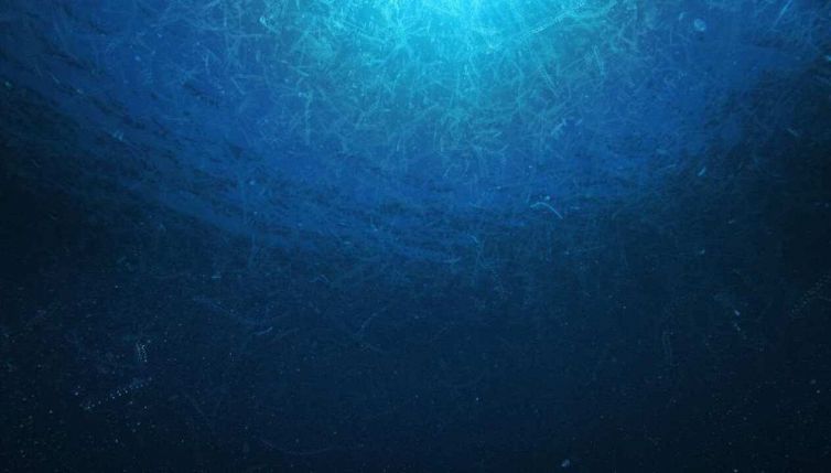 L'inquietante scoperta in mare: è infestato da "strani" virus