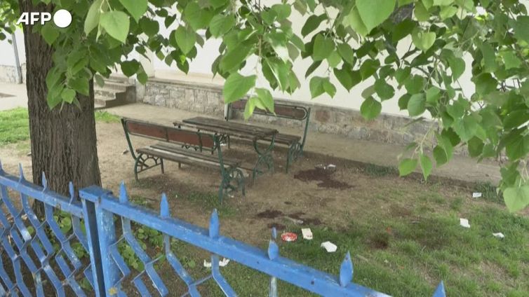 Serbia, sparatoria in un villaggio vicino Belgrado: otto morti e 13 feriti