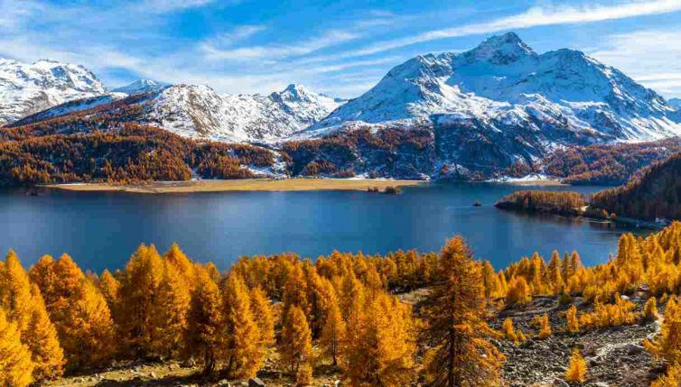 Incredibile scoperta sulle Alpi: ci sono dei microbi straordinari