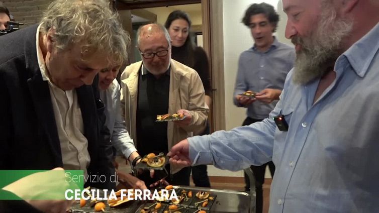 Gli insetti alla prova dell'alta cucina, "poco impatto e tante proteine"