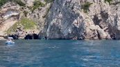 Spettacolo a Capri: piroette e salti dei delfini davanti ai turisti