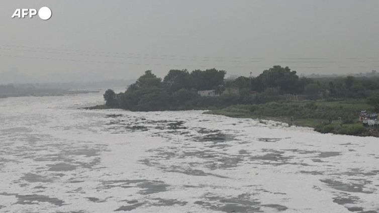 India, una catena umana per salvare lo Yamuna dall'inquinamento