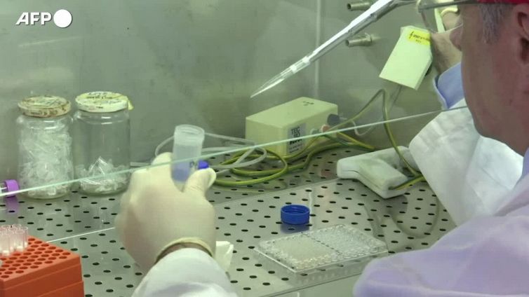 In Italia in crescita le infezioni legate al clima