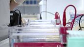 Arrivano nuove armi contro i tumori del cervello