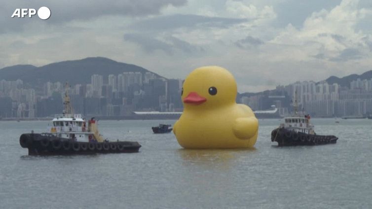 La papera gialla torna a Hong Kong, stavolta con la sua gemella