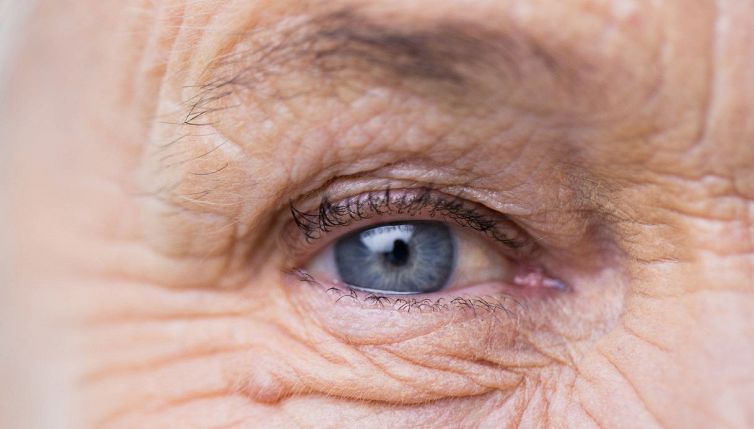 La taurina ferma l'invecchiamento: la scoperta rivoluziona la medicina