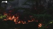Francia, boschi a fuoco nella regione dei Vosgi: distrutti almeno 30 ettari
