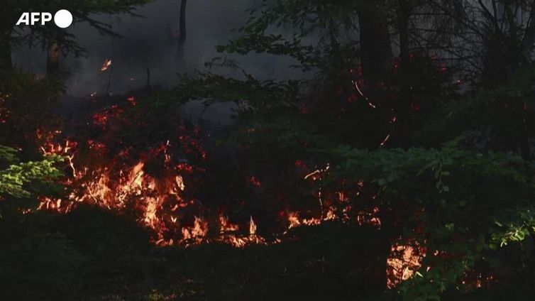 Francia, boschi a fuoco nella regione dei Vosgi: distrutti almeno 30 ettari