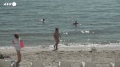 Al mare a Odessa per "fuggire" dalla guerra, ma arriva il divieto di balneazione