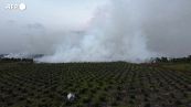 Indonesia, maxi-incendio nell'isola di Sumatra: bruciati ettari di torbiere