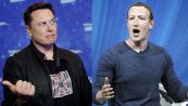 Rissa tra Elon Musk e Mark Zuckerberg: si sfidano sul ring
