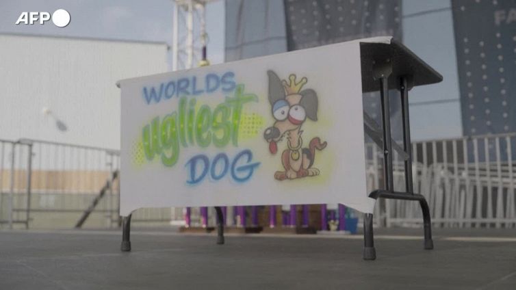 Usa, Scooter e' il cane piu' brutto del mondo