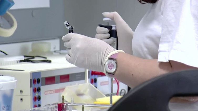 Embrioni umani sintetici imitano lo sviluppo nell'utero