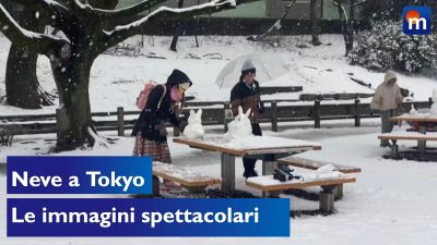 Neve a Tokyo: le immagini spettacolari dal Giappone