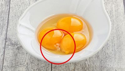 Cos’è la macchia bianca che trovi nell'uovo e come si chiama