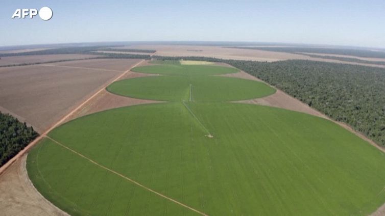 Grande piano agricolo di Lula, opportunita' per l'Italia