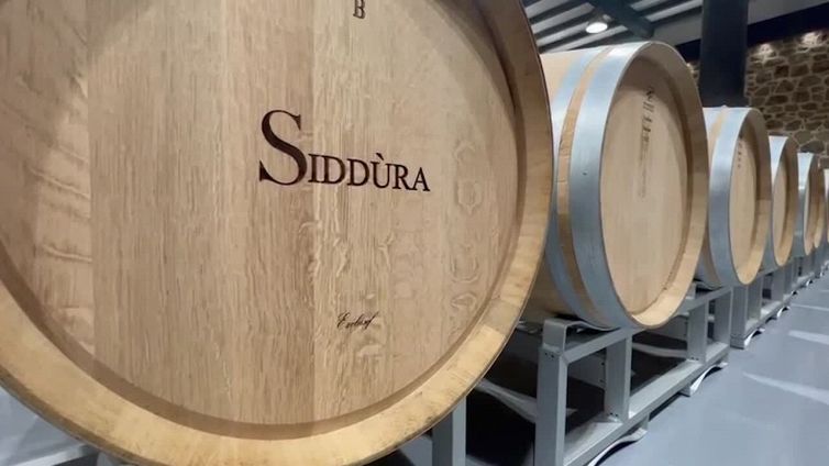 Nei vini di Siddu'ra il racconto di un intero territorio